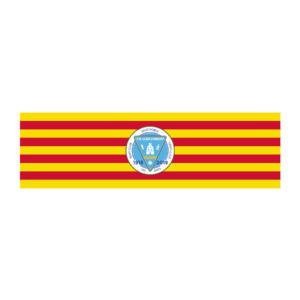 Brazalete capitán