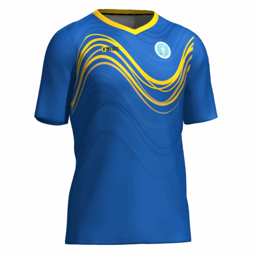 Camiseta entreno jugador