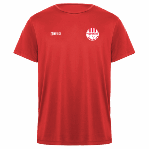 Camiseta entreno