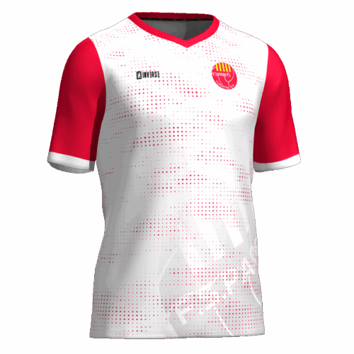Camiseta jugador 1a equipación