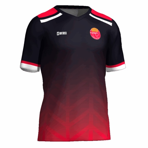 Camiseta jugador 2a equipación