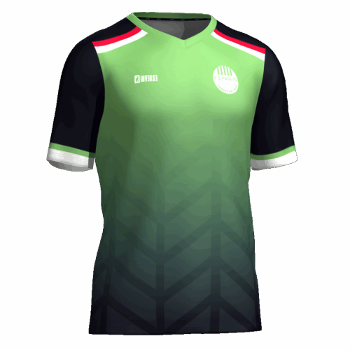 Camiseta portero 2a equipación