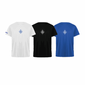 Camiseta entreno