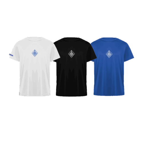Camiseta entreno