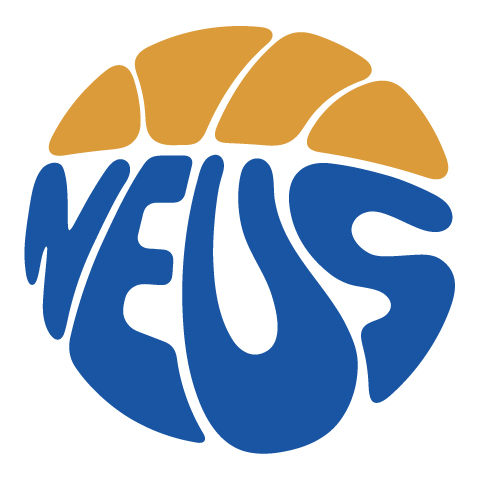 BÀSQUET NEUS