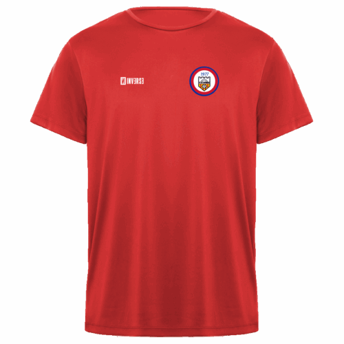Camiseta ENTRENAMIENTO