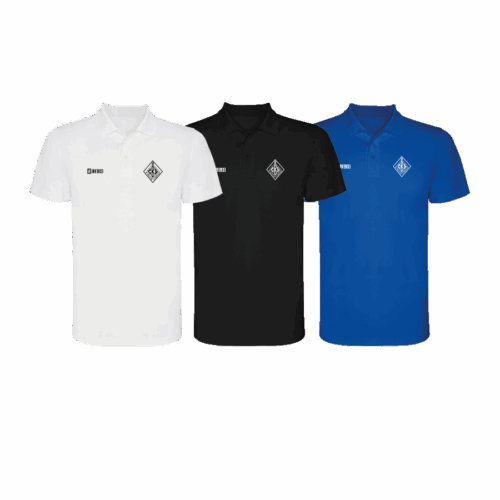 Polo técnico
