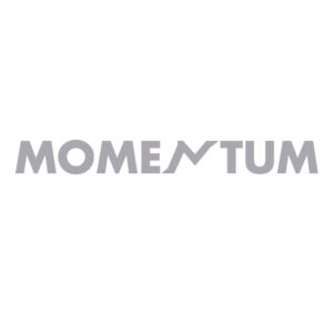 TRAINING WITH MOMENTUM
