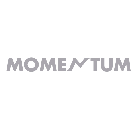 TRAINING WITH MOMENTUM