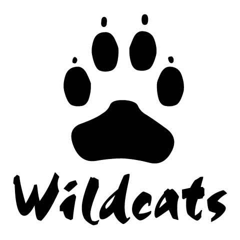 WILDCATS BASEL